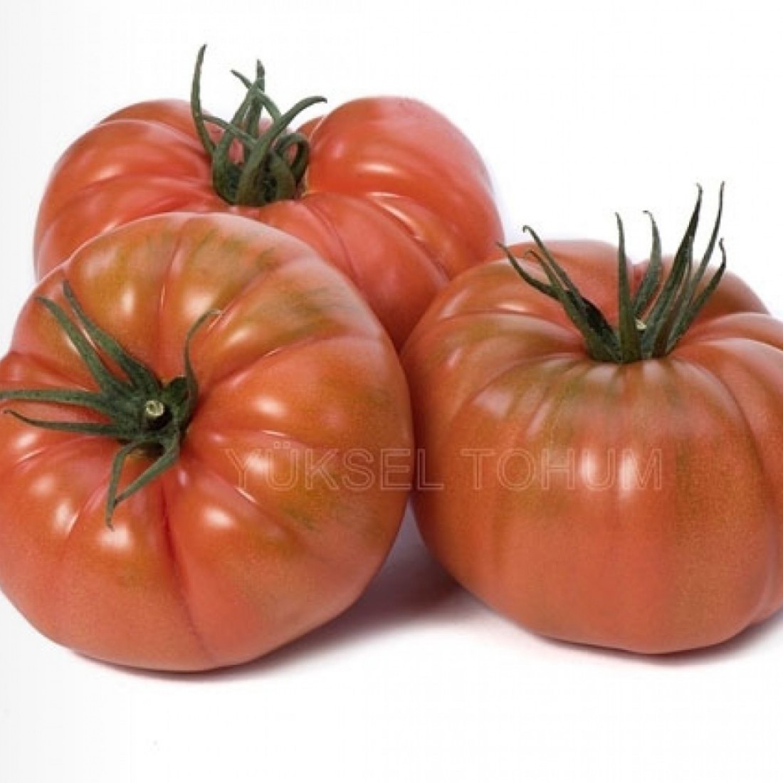 Семена томат ред Робин